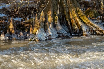 Landscape view with a frozen river and sunlit tree trunks around, blurred background