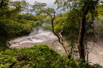 waterfall in the woods
