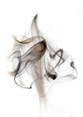 fine art abstract photo of fuzzy shapes of smoke on a white background.