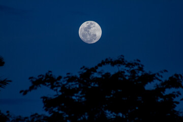 Fototapeta na wymiar full moon in the night