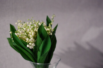 Lily of the valley, close-up, white flowers.
