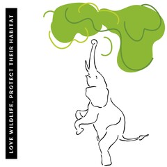 Elephant and its habitat