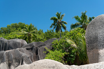 Fascinating rock formations on the beach of the Seychelles.