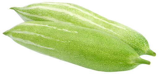 Snake gourd