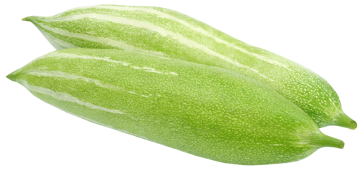 Snake gourd