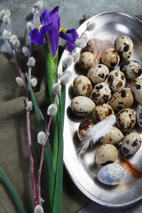 Quail eggs on metal plate with willow branches and iris flower, Easter decor concept.