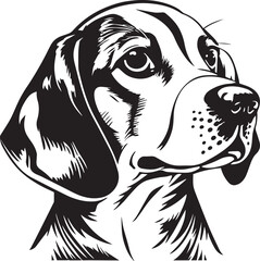 Beagle face isolated on a white background, SVG, Vector, Illustration.	