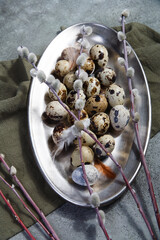 Quail eggs on metal plate with willow branches, Easter decor concept.