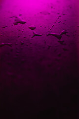  Orchid with color light