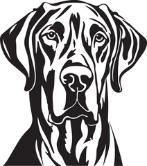 Great Dane dog face isolated on a white background, SVG, Vector, Illustration.	