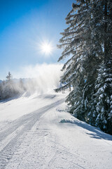 Winter forest in Seefeld, Austria