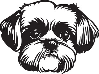 Shih tzu dog face isolated on a white background, EPS, Vector, Illustration.	 - Powered by Adobe