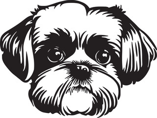 Shih tzu dog face isolated on a white background, EPS, Vector, Illustration.	