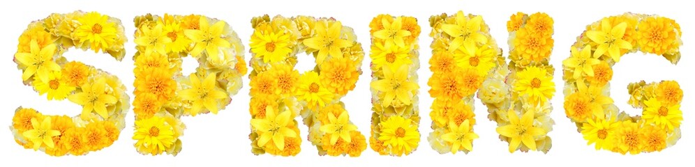 word spring with yellow flowers