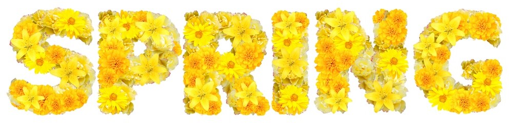word spring with yellow flowers