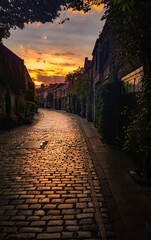 Circus lane, Edinburgh, rustic cobbled street at sunset