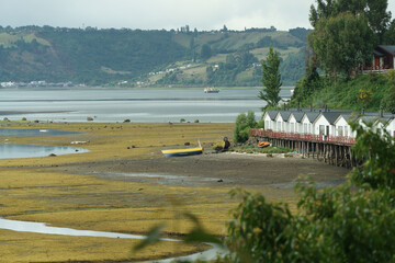 view of the river in the morning