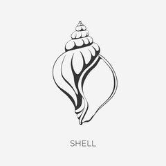 Vector illustration. Shell. Logo graphic element.