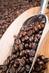 coffee beans in the spoon