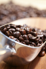 coffee beans in the spoon