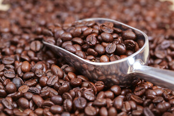 coffee beans in the spoon