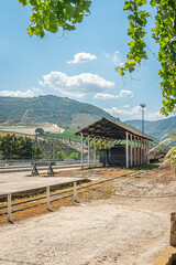 Train tracks along the Douro River in the wine region of the Douro Valley in Portugal; Tua train station. Concept for travel in Portugal and in the Douro Region