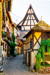 Fototapeta na wymiar Village of Eguisheim Traditional french houses, Eguisheim, France