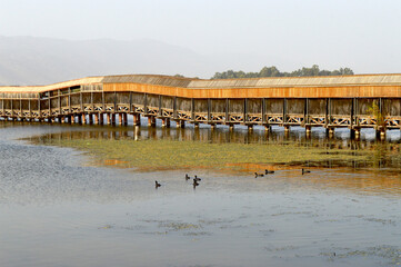Tourist Bird Watching Walkway In Hula Valley Israel