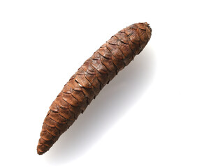 Caucasus spruce, Picea, orientalis