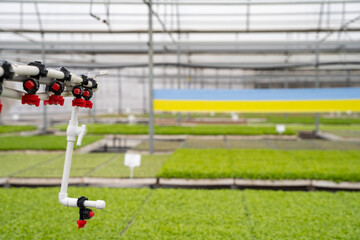 Irrigation and spraying system in the greenhouse