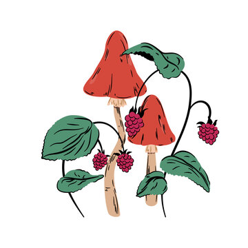 Muchomor i krzaki malin. Grzyby z czerwonymi kapeluszami i soczyste maliny na krzaczku. Leśna kompozycja botaniczna.