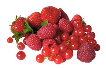 Petits fruits d'été	