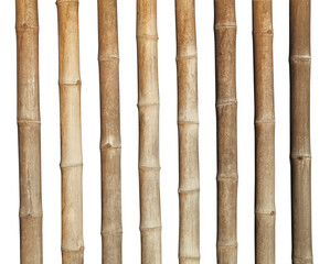 Cannes de tiges de bambous séchés	