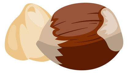 Hazelnut cartoon icon. Forest nut. Food snack