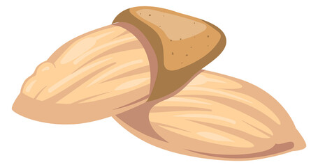 Almond cartoon icon. Healthy diet raw nut