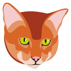 Red fur cat face. Pet portrait icon
