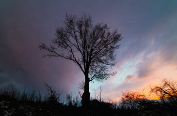 concept of postcard with lone tree at evening