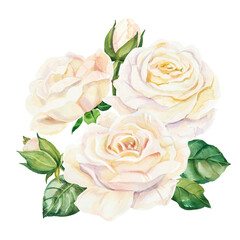 Watercolor white wedding roses flowers bouquet. Hand painted realistic botanical illustration isolated on white background for cards, invitations and posters