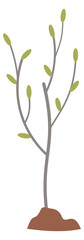 Sapling icon. Growing young tree. Gardening plant