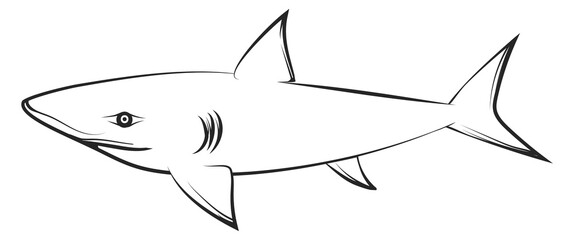 Shark line icon. Underwater fauna. Ocean predator