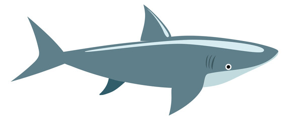 Shark color icon. Underwater fauna. Wild predator
