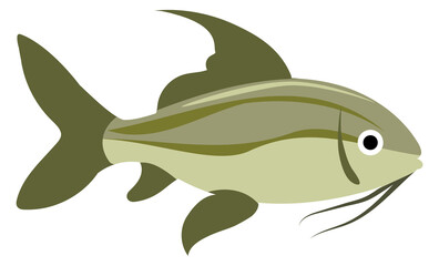 Freshwater fish. Carp color icon. Underwater animal