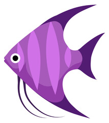 Purple fish swimming. Colorful tropical underwater animal