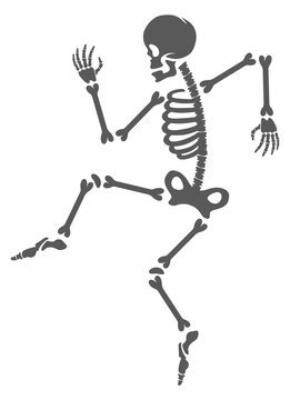 Halloween party mascot. Funny dancing skeleton character