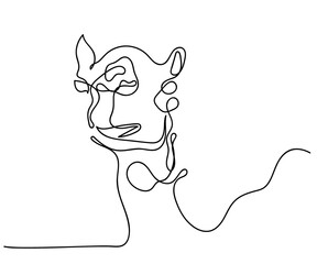 illustration of a camel face