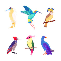 Tropical Bird with Bright Feathers Sitting on Tree Branch Vector Illustration Set