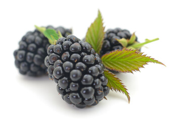Closeup shot of fresh blackberries.