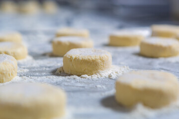 Ukrainian cheese cakes made from soft cottage cheese and wheat flour. Healthy and natural dessert food being prepared in the kitchen