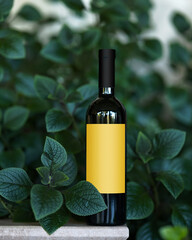Bottle with drink on background of green leaves. Alcoholic drink in bottle on concrete surface. Front view. Soft focus. Green background. 