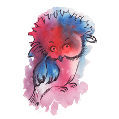 Hand drawn graphic cute owl. Illustration on a color spot. 